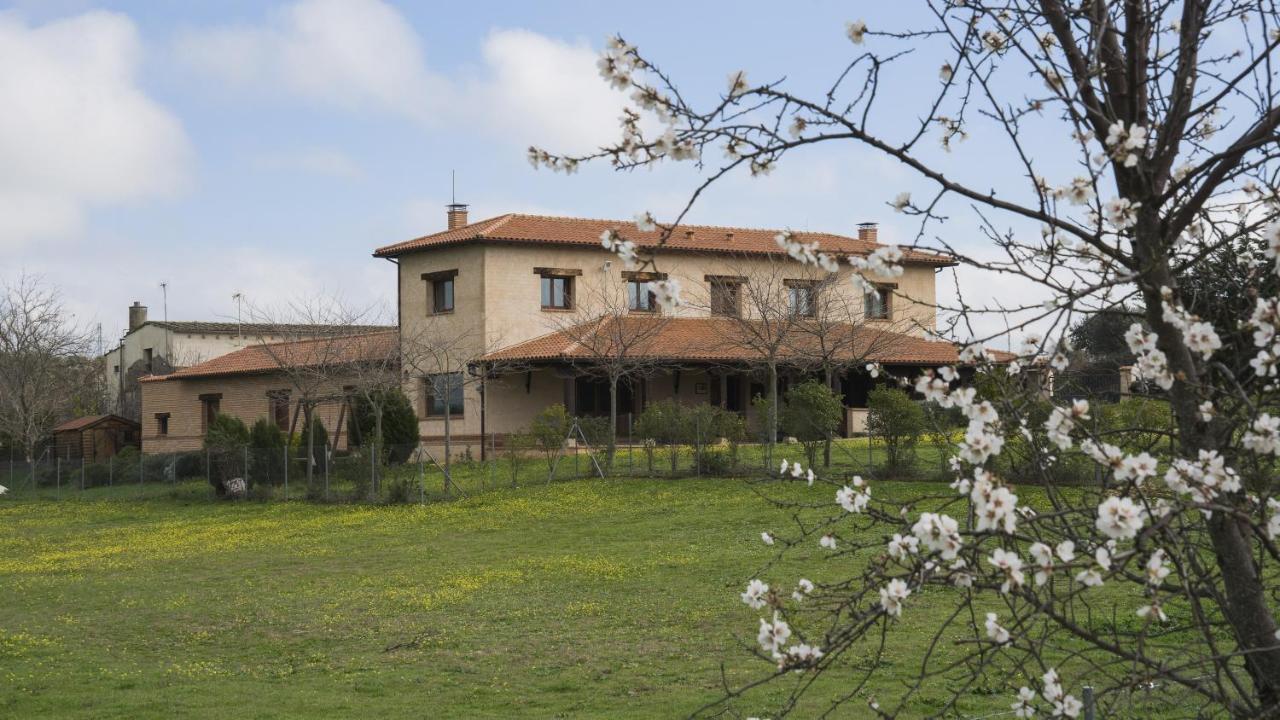 Casa Rural Pilon Del Fraile Oropesa Esterno foto